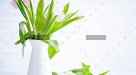 demo-attachment-783-brooke-lark-210780@2x