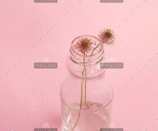 demo-attachment-796-photo-1429679310900-bad303d0e63a-1@2x